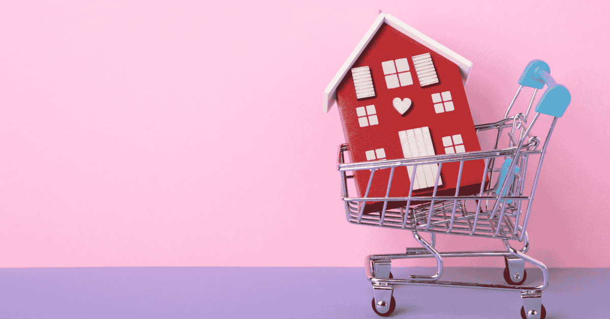 jasa kelola marketplace